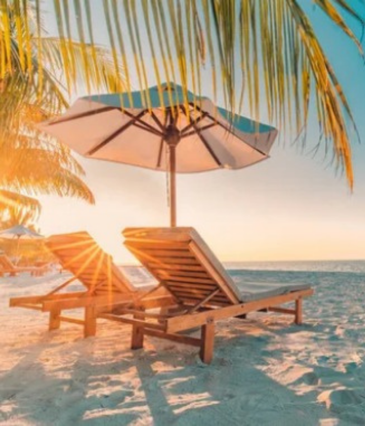 Balayı ve özel gün hizmetleri